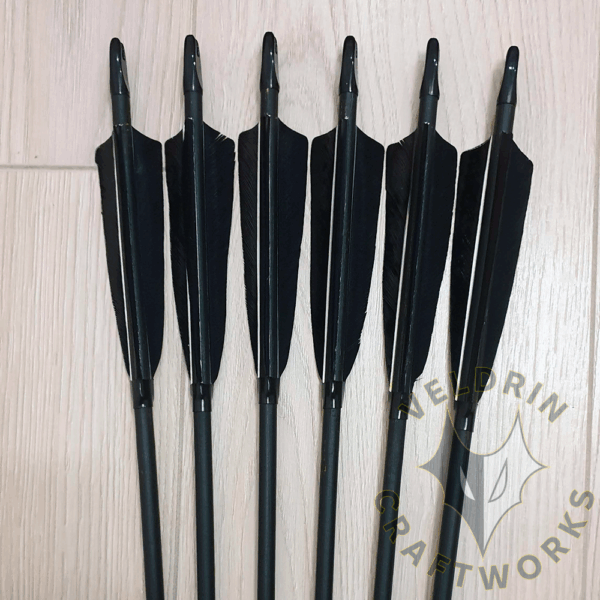 Classic Coated Wooden Arrows (12 pcs) - Image 2