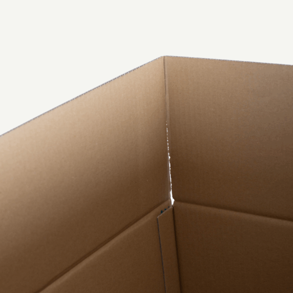 K12 Cardboard Box 3D Animals - Image 4