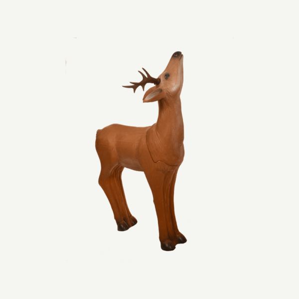 60425 Longlife Grazing Roebuck - Image 3