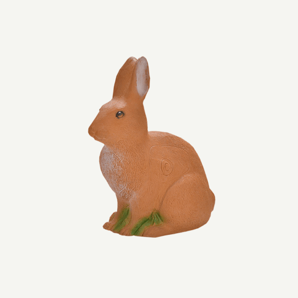 100407 IBB 3D European hare - Image 3