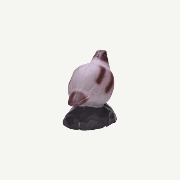 100410 IBB 3D Target Partridge - Image 3
