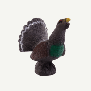 100413 IBB 3D mountain cock