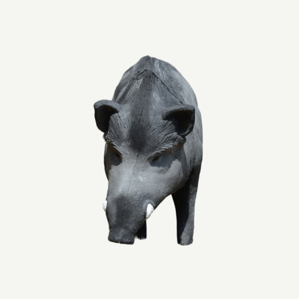 100414 IBB 3D big Wild Boar - Tusker - Image 4