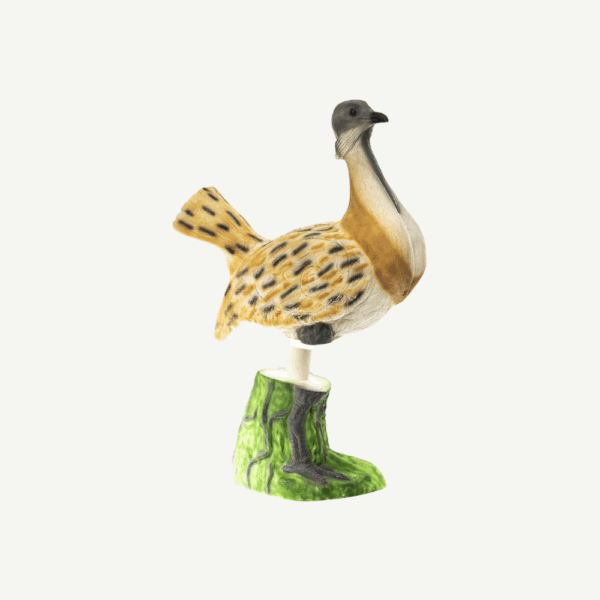 100422 IBB 3D Target Bustard - Image 5