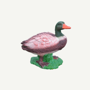 100424 IBB 3D Target Drake