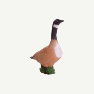 100444 IBB 3D target Canada Goose