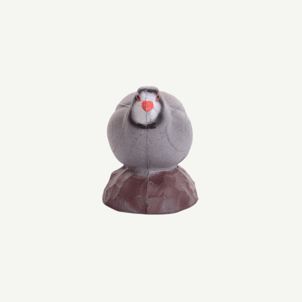 100451 IBB 3D Target Rock Partridge - hen - Image 4