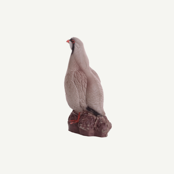 100452 IBB 3D Target Rock Partridge - Cock - Image 4