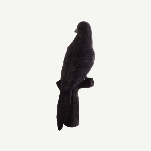 100461 IBB 3D Target carrion crow - Image 3