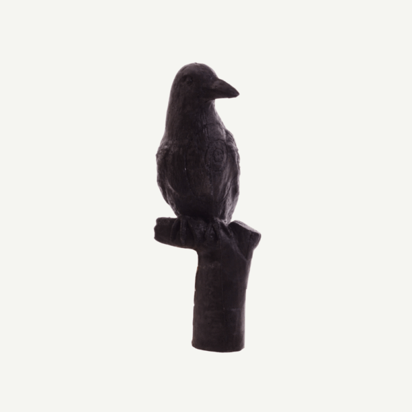 100461 IBB 3D Target carrion crow - Image 4