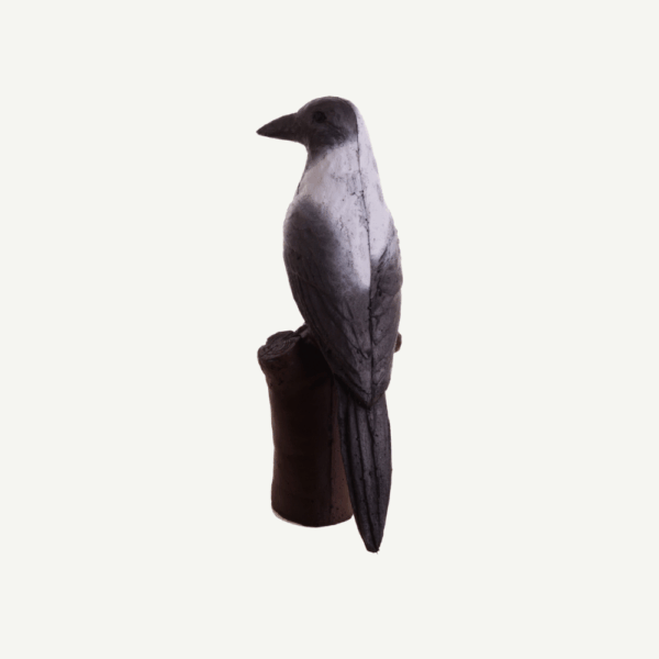 100462 IBB 3D Target Hooded crow - Image 4