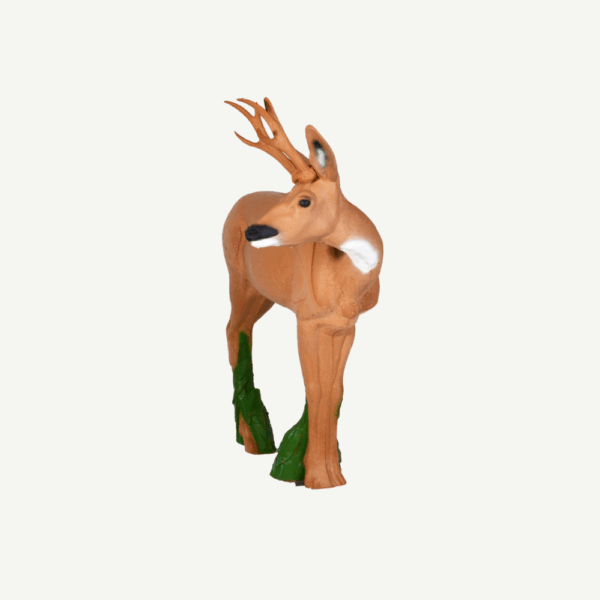 100468 IBB 3D Target Roebuck looking to the right - Image 4