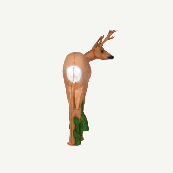 100468 IBB 3D Target Roebuck looking to the right - Image 6