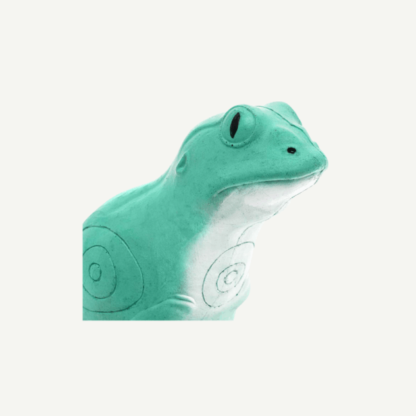 100487 IBB 3D Target Water Frog - Image 6