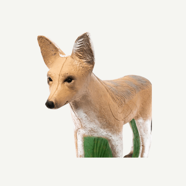 100489 IBB 3D Target jackal - Image 4