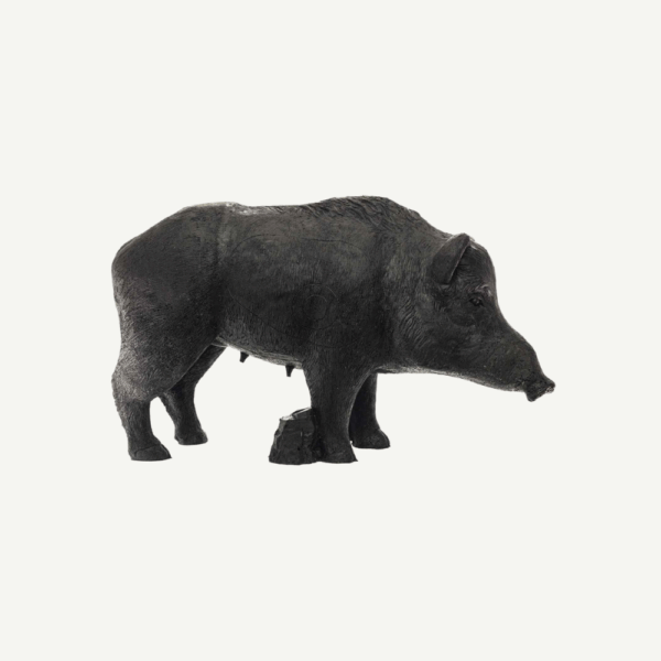 100505 IBB 3D old adults Wild Boar Sow - Image 3