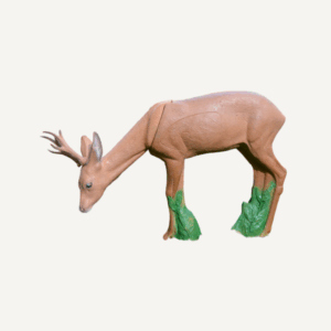 100438 IBB 3D Target Roebuck browsing