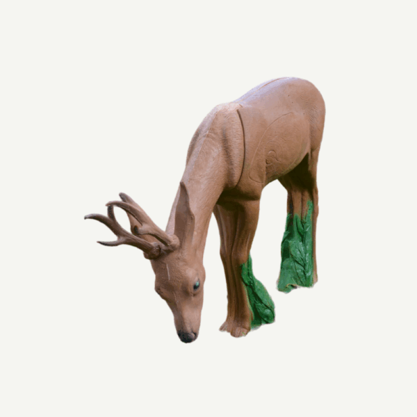 100438 IBB 3D Target Roebuck browsing - Image 3