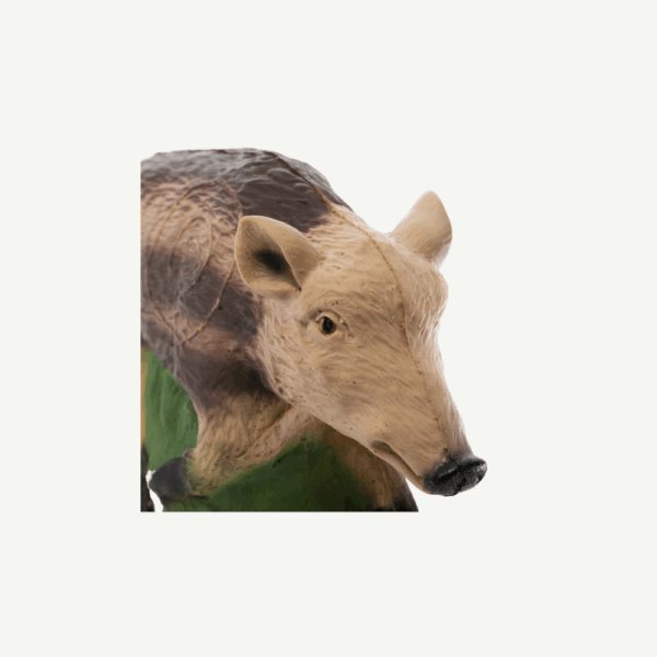 100502 IBB 3D target small young Boar - Image 5