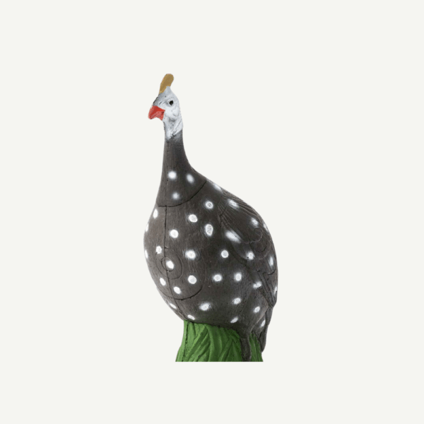 100430 IBB 3D-Target Guinea Fowl - Image 4