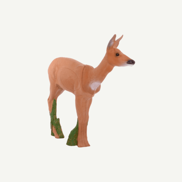 100436 IBB 3DTarget Doe