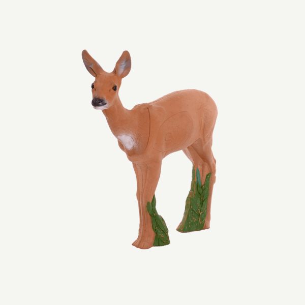 100436 IBB 3DTarget Doe - Image 3