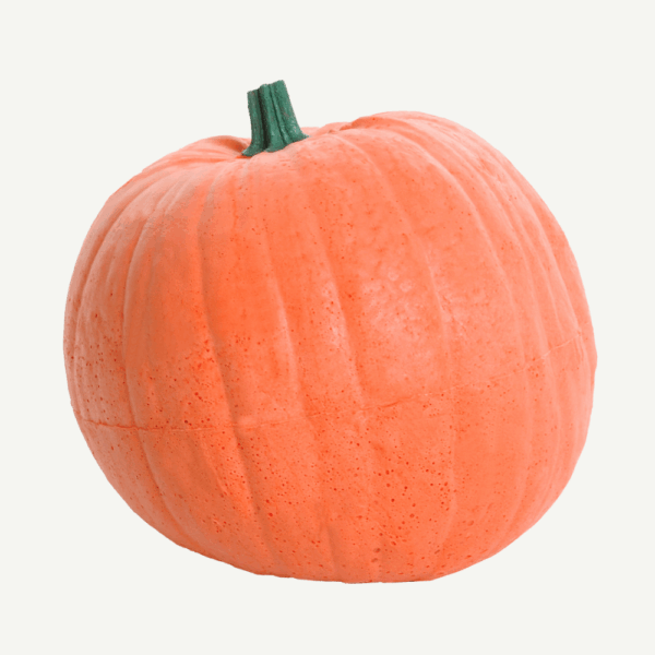 100427 IBB 3D target Pumpkin - Image 3