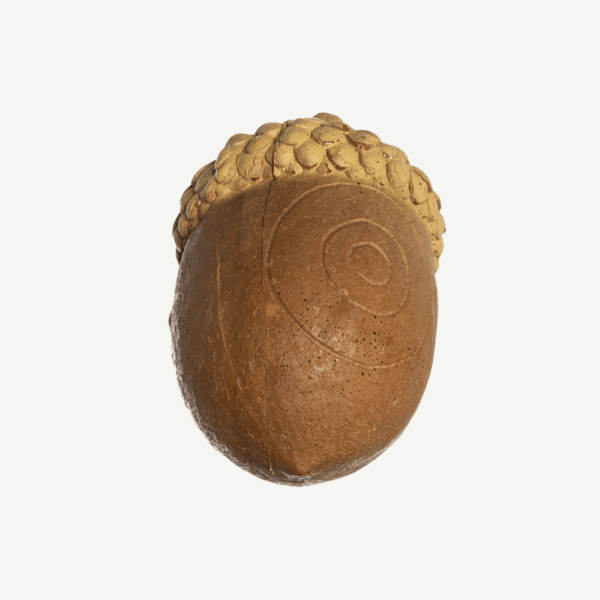 100483 IBB 3D Acorn - Image 5