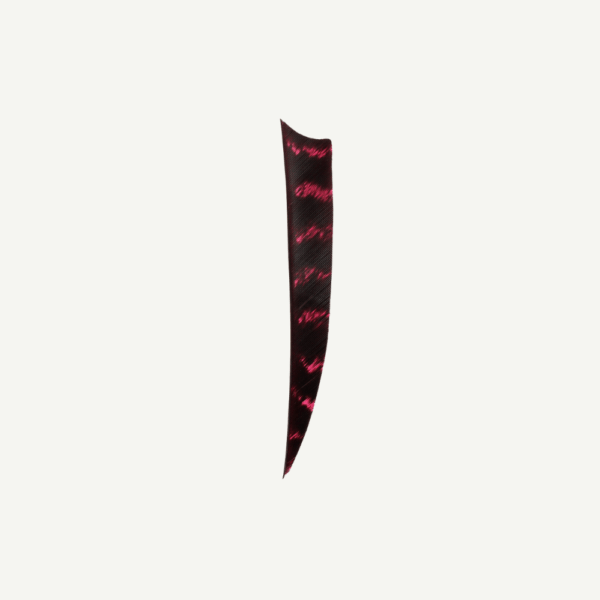 18415 Feather RW Shield 4 inch natural barred - Image 4