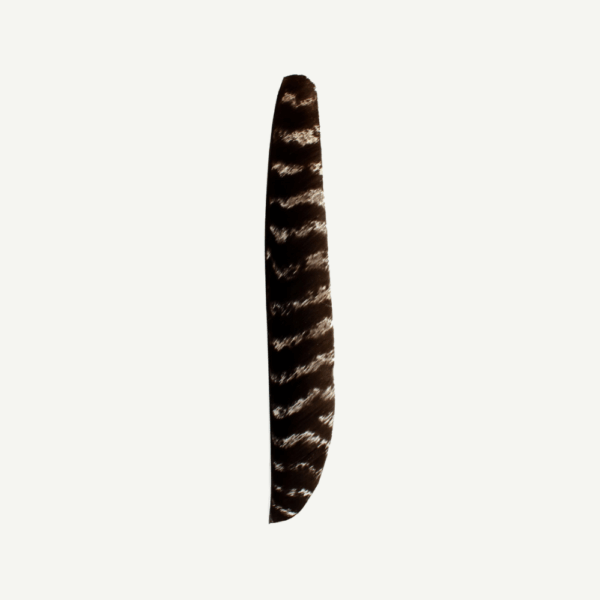 18400 Feather RW Full Length natural barred - Image 2
