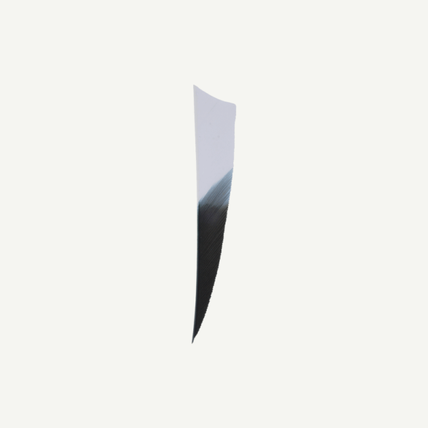18267 Feather RW Shield 4 inch Bicolor - Image 4