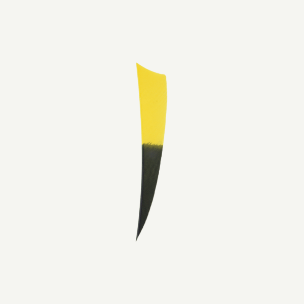 18267 Feather RW Shield 4 inch Bicolor - Image 5