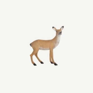 60049 3D Target Franzbogen Doe