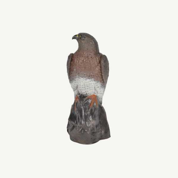 60175 3D Target Franzbogen Falcon