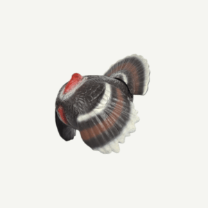 60188 3D Target Franzbogen Courting Turkey