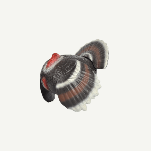 60188 3D Target Franzbogen Courting Turkey