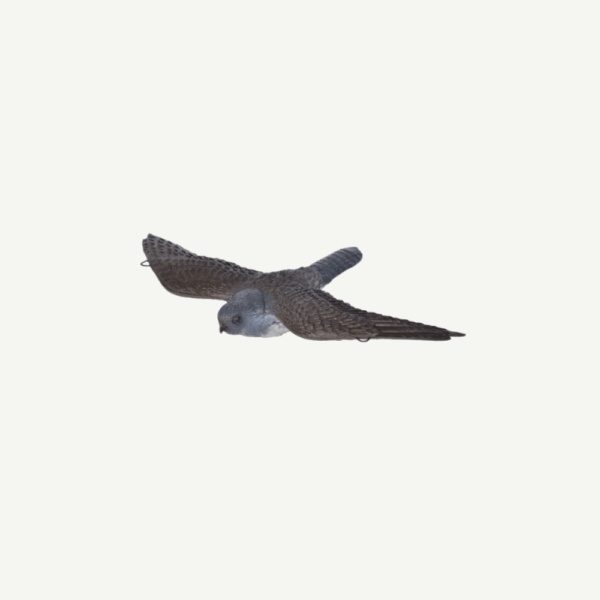 60221 3D Target Franzbogen Flying Falcon
