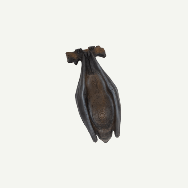 100107 Longlife Flying Fox - Image 4