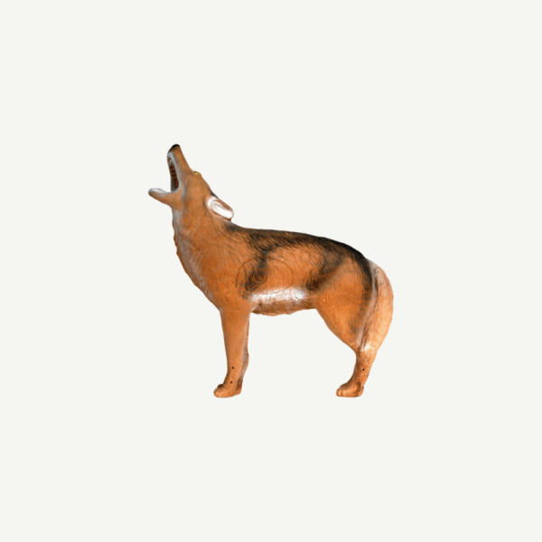 50535 Howling Coyote