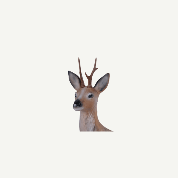 60401 Longlife Lying Roebuck - Image 4