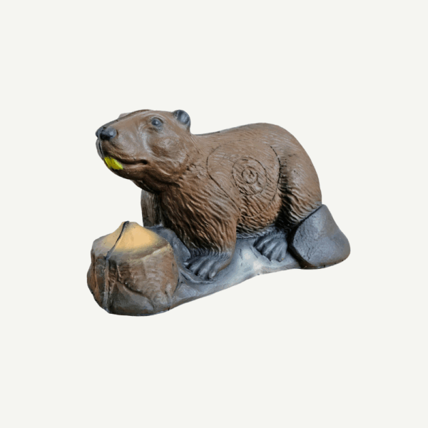 100204 Leitold Beaver - Image 3