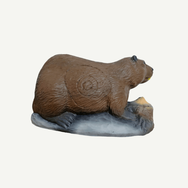 100204 Leitold Beaver - Image 4