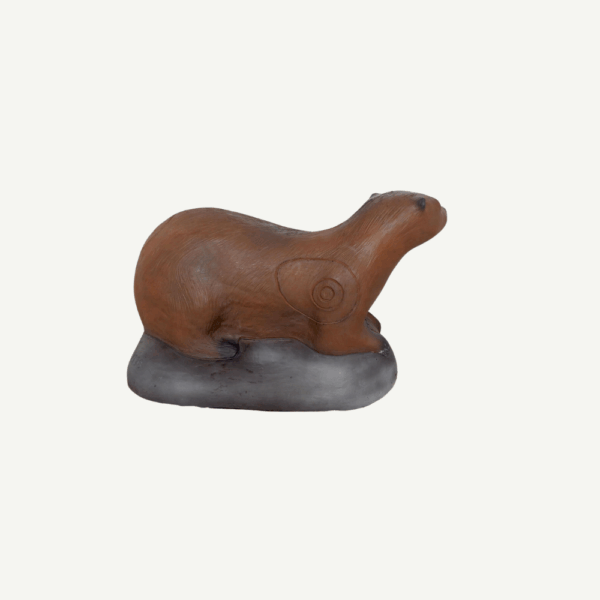 100202 Leitold Otter - Image 3