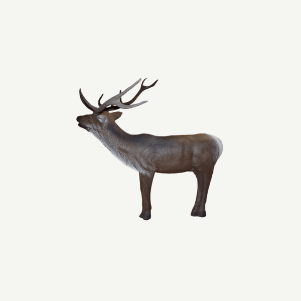 100206 Leitold Red Deer - Image 3