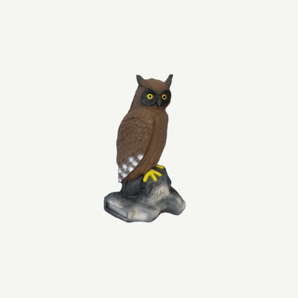 100209 Leitold Eagle Owl - Image 3