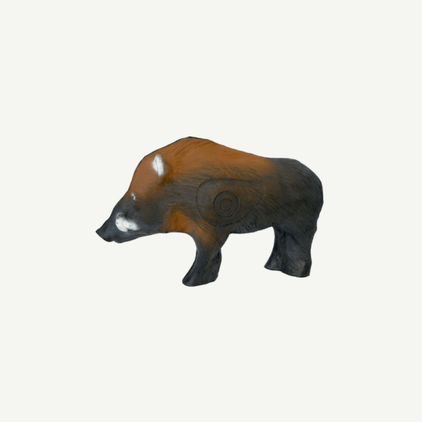 100207 Leitold Medium Wild Boar - Image 3