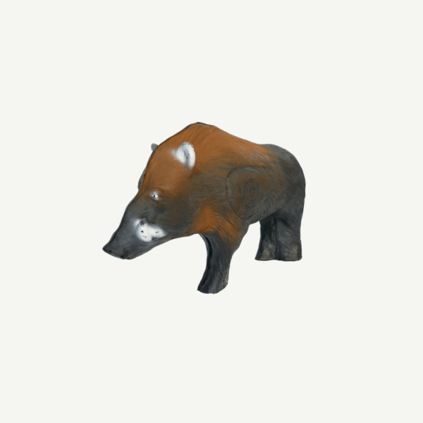 100207 Leitold Medium Wild Boar - Image 4