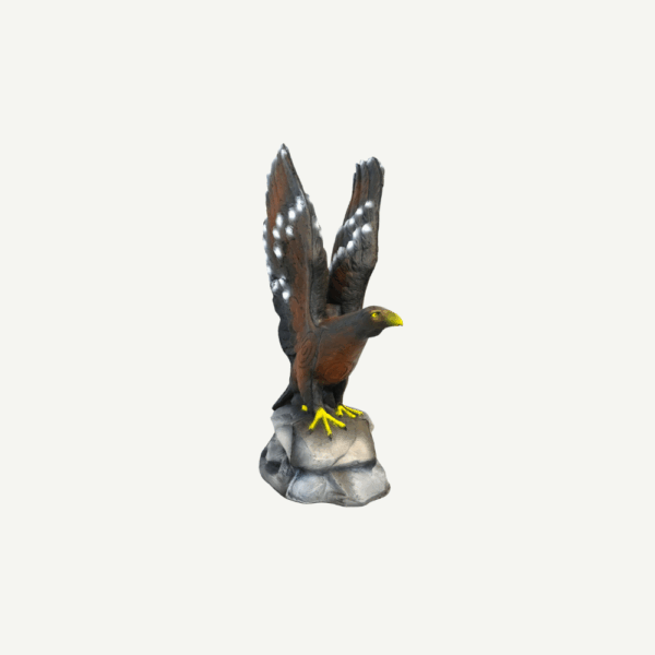 100211 Leitold Golden Eagle - Image 4