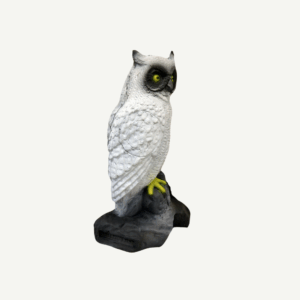 100212 Leitold Snow Owl