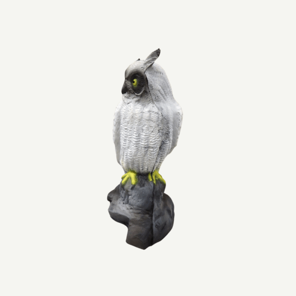 100212 Leitold Snow Owl - Image 3